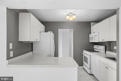 The Pavilion on the Park unit 1102, Alexandria, VA 22304 - photo 6