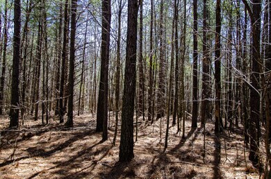 0 Country Side Ln Lot #51 unit RTC2424319, Spencer, TN 38585 - photo 3