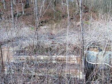 0 Highway 147 unit 2128486, Stewart, TN 37175 - photo 5