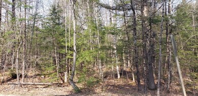 M21 L34A N Bridgton Rd, Bridgton, ME 04009 - photo 6