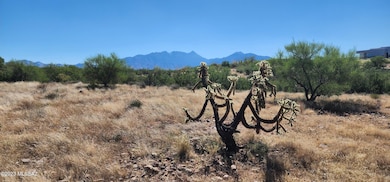 400 E Placita Loma Rosa unit 11, Green Valley, AZ 85614 - photo 4