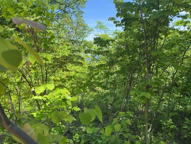 0 Crane Cir, Stanardsville, VA 22973 - photo 6