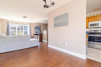 1198 Snowden Terrace, Johnson City, TN 37601 - photo 4