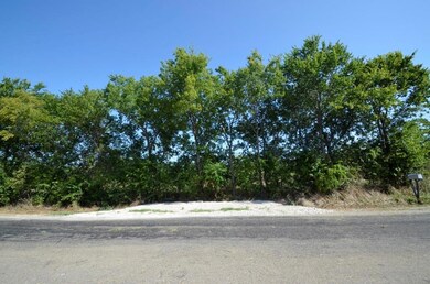 0000 Flowing Wells Rd, Pottsboro, TX 75076 - photo 4