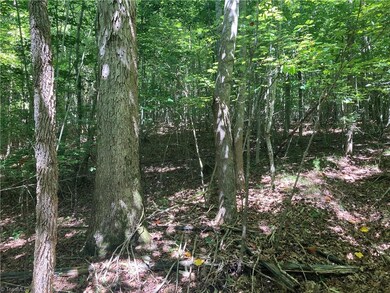 0 Nc Highway 134 N unit 1079012, Star, NC 27375 - photo 6