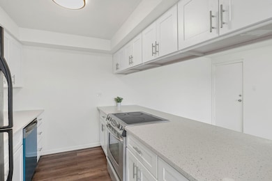 917 8th Ave unit 9, La Grange, IL 60525 - photo 7