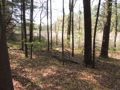 730 Clayton Rd, Sheffield, MA 01222 - photo 4