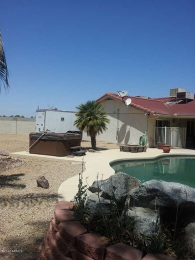backyard 3