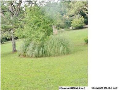 The back yard is a wooded lot with rolling hills