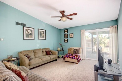 olla living room #1