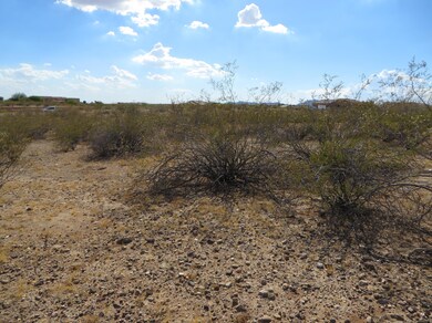 21320 W Vista Royale Dr unit 3, Wickenburg, AZ 85390 - photo 5