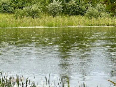 Lot 4 Mograin, Cheboygan, MI 49721 - photo 7