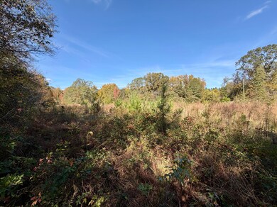 6803 Bowling Green Rd, Durant, MS 39063 - photo 7