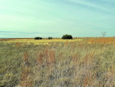 2245 County Road 619, Pottsville, TX 76565 - photo 3