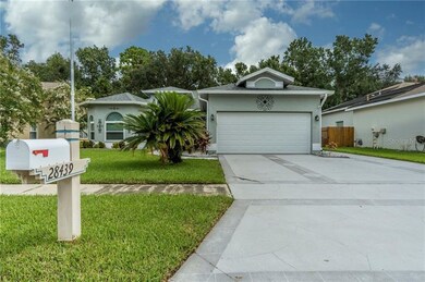 beautifully painted & concrete design on driveway