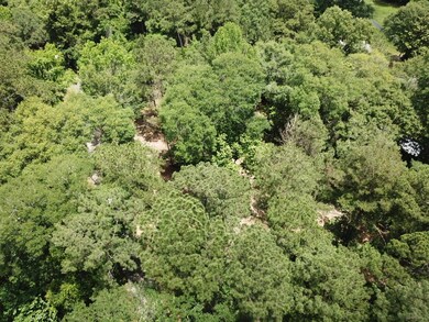 2.21 Acres N Nellius St, Woodville, TX 75979 - photo 4