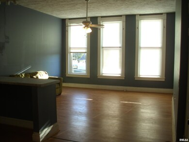 117 E Springfield St, Virginia, IL 62691 - photo 5