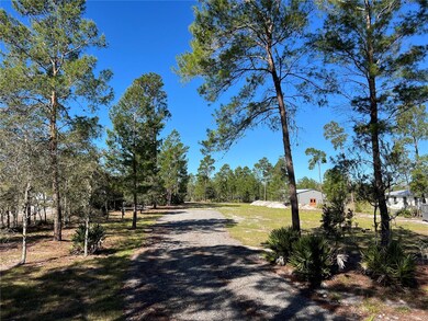 2298 Eldorado Ct, Saint Cloud, FL 34771 - photo 4