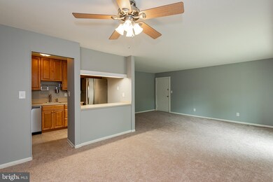 103 Fitz Ct unit 104, Reisterstown, MD 21136 - photo 5