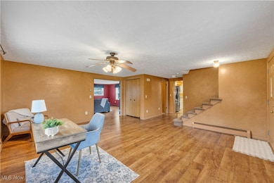 506 Logan Rd, Mansfield, OH 44907 - photo 5