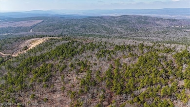 Tract 2 Rd, Wister, OK 74966 - photo 5