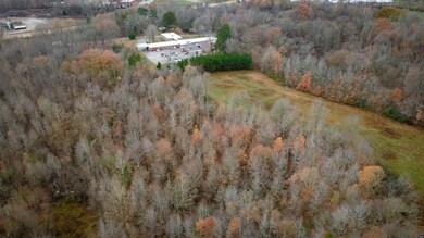 000 Evergreen St unit 907 Hwy 22, Dresden, TN 38225 - photo 6