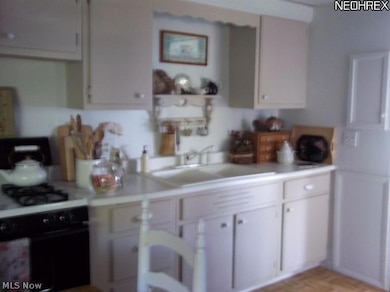 7881 Cushman Dr, Conneaut, OH 44030 - photo 6