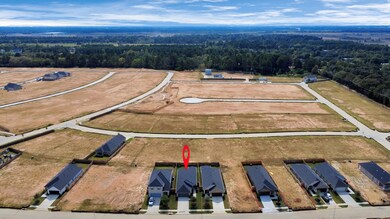 20943 Carob Tree Ln, Tomball, TX 77377 - photo 3