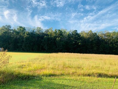 TBD Turkey Run, Havana, FL 32333 - photo 2