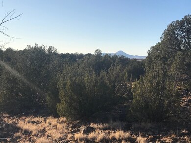 41 N Honeysuckle Rd, Ash Fork, AZ 86320 - photo 7