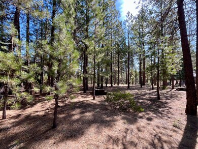 53514 Wildriver Way, La Pine, OR 97739 - photo 7