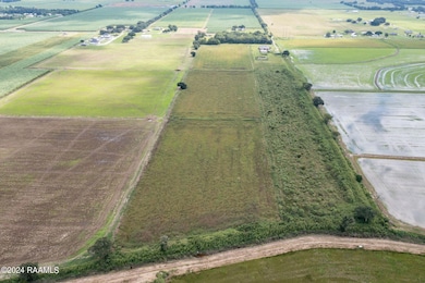 Tbd Wilson Rd, Maurice, LA 70555 - photo 5