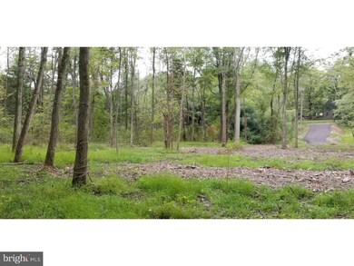 0 Cepp Rd unit 1002144190, Perkiomenville, PA 18074 - photo 2