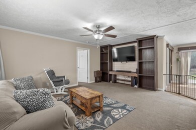 Carpeted living area with baseboards, a ceiling fan, ornamental molding, and a textured ceiling