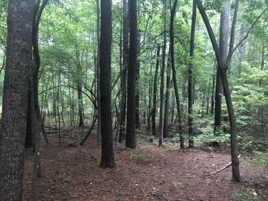 408 Milliken Rd, Pittsboro, NC 27312 - photo 6