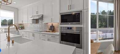 4806 Parsley Ln, Carlsbad, CA 92008 - photo 6