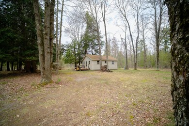 13020 Alger Ave, Bitely, MI 49309 - photo 3