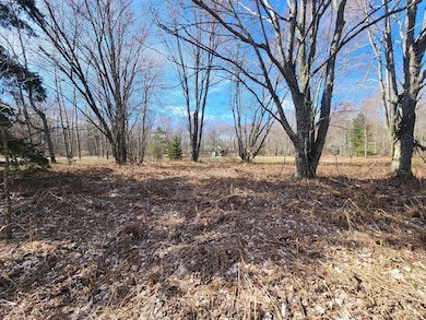 Lot 1829 Sandpiper Trail, Otsego Lake Township, MI 49735 - photo 5