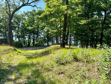 Lot 4 towards Lake Michigan