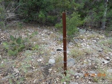 6145 County Road 251, Hondo, TX 78861 - photo 6