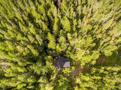 500 Spruce Trail, Bigfork, MT 59911 - photo 5