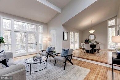 8613 Carlynn Dr, Bethesda, MD 20817 - photo 4