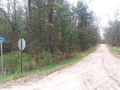 0 Second St unit 19019924, Baldwin, MI 49304 - photo 2