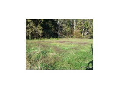 Approx. 1 Acre level to build