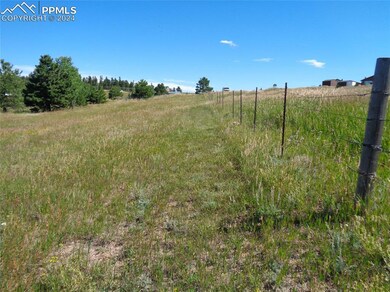 33 Grandview Cir, Divide, CO 80814 - photo 2