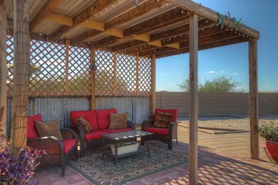 backyard_6