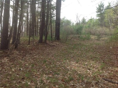 0 S Bridgton Rd unit 1211513, Bridgton, ME 04009 - photo 2