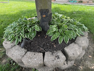 208 Locust Ave S, Hebron, IN 46341 - photo 4