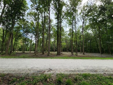 Lot 51 SW Boston Terrace, Fort White, FL 32038 - photo 2