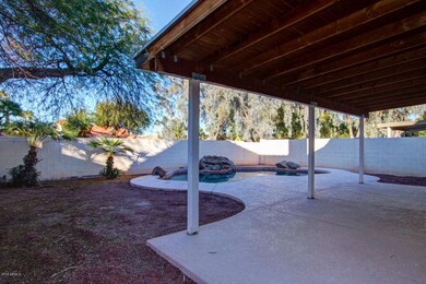 Backyard 2